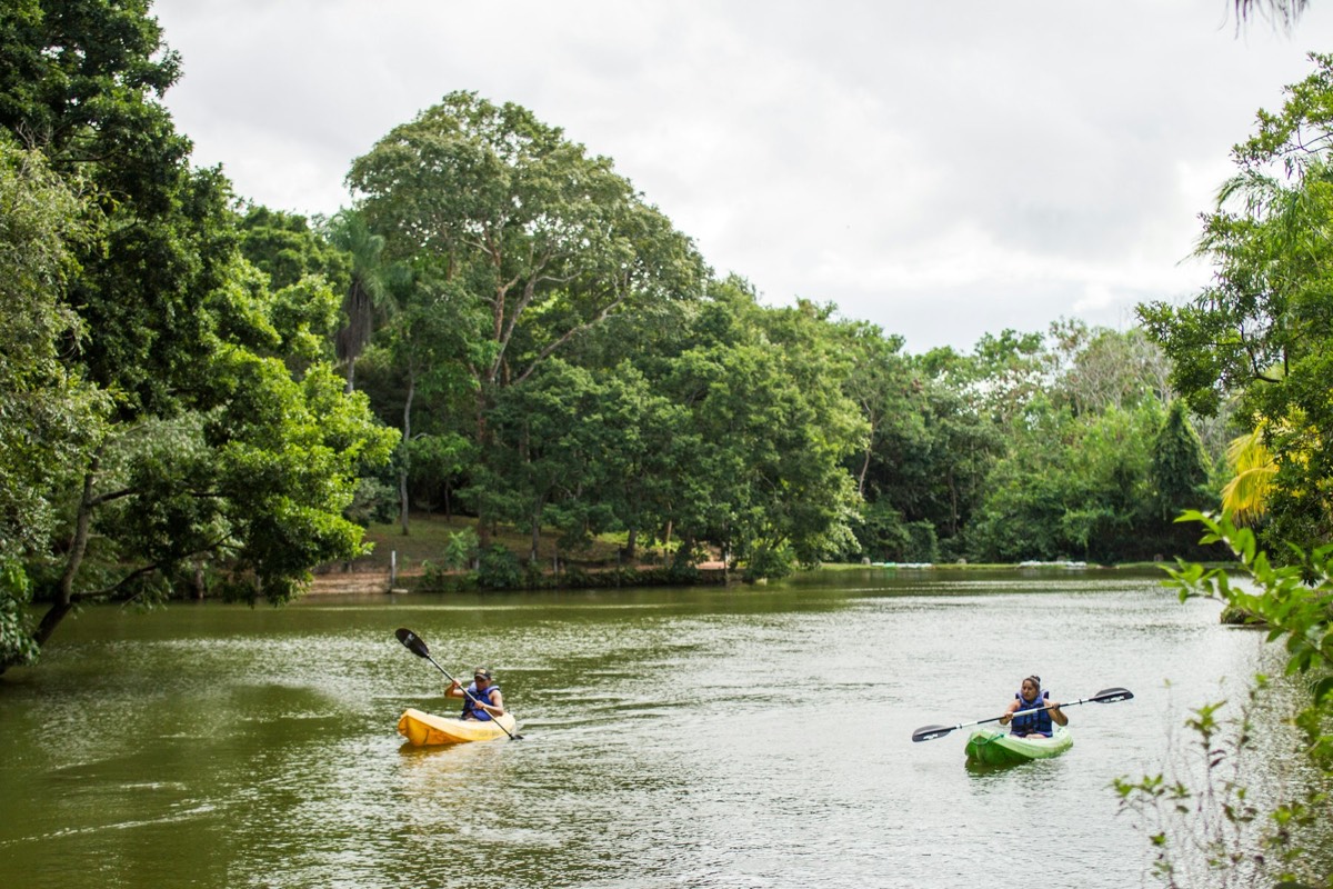 Rent a kayak in Austin at Mansfield Dam Park Boat Ramp